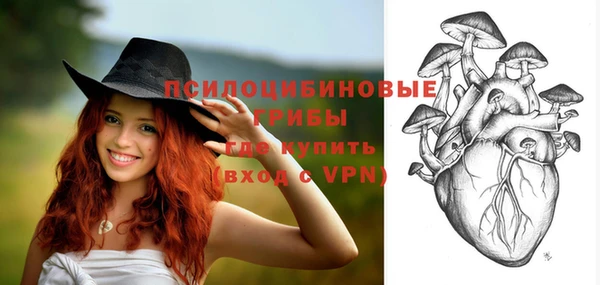 2c-b Кукмор